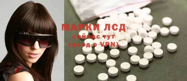 ГАЛЛЮЦИНОГЕННЫЕ ГРИБЫ Аркадак