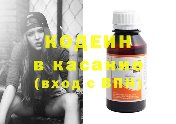 ГАЛЛЮЦИНОГЕННЫЕ ГРИБЫ Аркадак