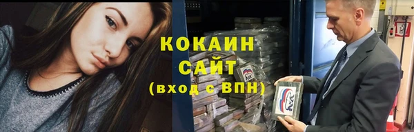 ГАЛЛЮЦИНОГЕННЫЕ ГРИБЫ Аркадак