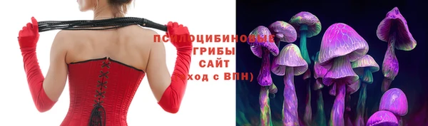 ECSTASY Армянск
