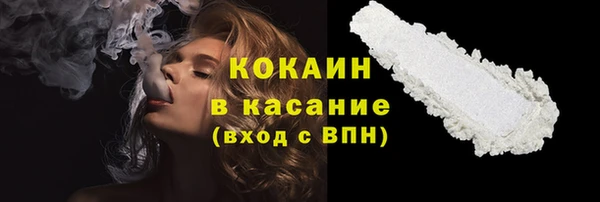 ГАЛЛЮЦИНОГЕННЫЕ ГРИБЫ Аркадак
