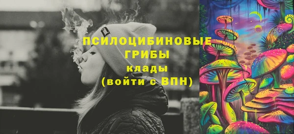ГАЛЛЮЦИНОГЕННЫЕ ГРИБЫ Аркадак